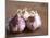 Fresh Violet and White Garlic, Clos Des Iles, Le Brusc, Cote d'Azur, Var, France-Per Karlsson-Mounted Photographic Print