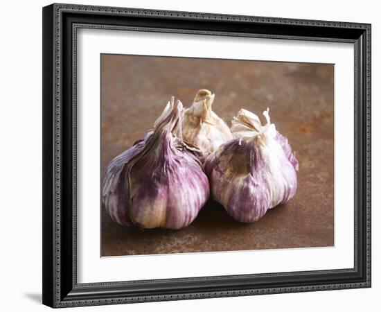 Fresh Violet and White Garlic, Clos Des Iles, Le Brusc, Cote d'Azur, Var, France-Per Karlsson-Framed Photographic Print