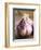 Fresh Violet and White Garlic, Clos Des Iles, Le Brusc, Cote d'Azur, Var, France-Per Karlsson-Framed Photographic Print