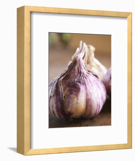 Fresh Violet and White Garlic, Clos Des Iles, Le Brusc, Cote d'Azur, Var, France-Per Karlsson-Framed Photographic Print