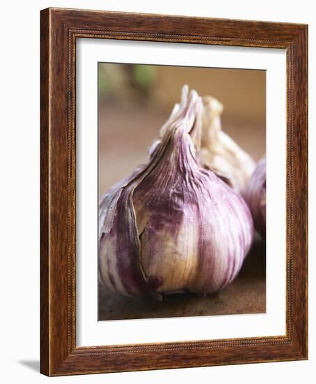 Fresh Violet and White Garlic, Clos Des Iles, Le Brusc, Cote d'Azur, Var, France-Per Karlsson-Framed Photographic Print