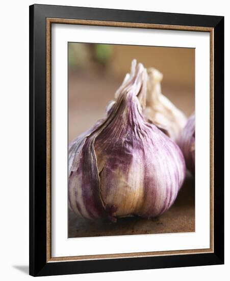 Fresh Violet and White Garlic, Clos Des Iles, Le Brusc, Cote d'Azur, Var, France-Per Karlsson-Framed Photographic Print