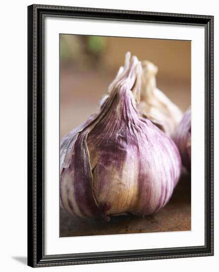 Fresh Violet and White Garlic, Clos Des Iles, Le Brusc, Cote d'Azur, Var, France-Per Karlsson-Framed Photographic Print