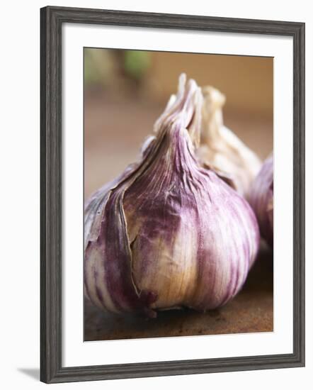 Fresh Violet and White Garlic, Clos Des Iles, Le Brusc, Cote d'Azur, Var, France-Per Karlsson-Framed Photographic Print