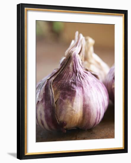 Fresh Violet and White Garlic, Clos Des Iles, Le Brusc, Cote d'Azur, Var, France-Per Karlsson-Framed Photographic Print