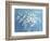 Fresh White Bouquet-Danhui Nai-Framed Premium Giclee Print