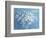 Fresh White Bouquet-Danhui Nai-Framed Premium Giclee Print