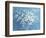 Fresh White Bouquet-Danhui Nai-Framed Premium Giclee Print