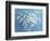 Fresh White Bouquet-Danhui Nai-Framed Premium Giclee Print