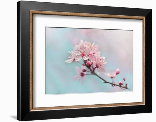 Fresh-Jacky Parker-Framed Photographic Print