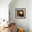 Freshly-Baked Bread in a Traditional Communal Clay Oven in the Town of Merzouga, Morocco-null-Framed Photographic Print displayed on a wall