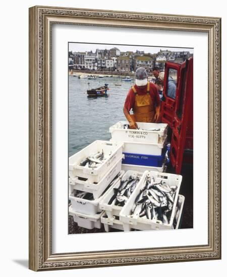 Freshly Caught Mackerel-Adrian Bicker-Framed Photographic Print