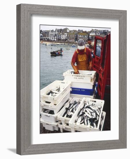 Freshly Caught Mackerel-Adrian Bicker-Framed Photographic Print