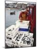 Freshly Caught Mackerel-Adrian Bicker-Mounted Photographic Print