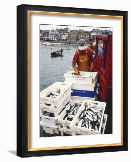 Freshly Caught Mackerel-Adrian Bicker-Framed Photographic Print