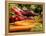 Freshly Harvested Carrots, Beetroot and Radishes from a Summer Garden, Norfolk, July-Gary Smith-Framed Premier Image Canvas