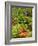 Freshly Harvested Carrots, Beetroot and Radishes in a Summer Garden, Norfolk, July-Gary Smith-Framed Photographic Print