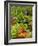 Freshly Harvested Carrots, Beetroot and Radishes in a Summer Garden, Norfolk, July-Gary Smith-Framed Photographic Print