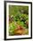 Freshly Harvested Carrots, Beetroot and Radishes in a Summer Garden, Norfolk, July-Gary Smith-Framed Photographic Print