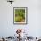 Freshly Harvested Carrots, Beetroot and Radishes in a Summer Garden, Norfolk, July-Gary Smith-Framed Photographic Print displayed on a wall