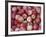 Freshly Picked Gala Apples, Monitor, Washington, USA-Jamie & Judy Wild-Framed Photographic Print