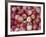 Freshly Picked Gala Apples, Monitor, Washington, USA-Jamie & Judy Wild-Framed Photographic Print