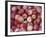 Freshly Picked Gala Apples, Monitor, Washington, USA-Jamie & Judy Wild-Framed Photographic Print