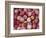 Freshly Picked Gala Apples, Monitor, Washington, USA-Jamie & Judy Wild-Framed Photographic Print