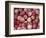 Freshly Picked Gala Apples, Monitor, Washington, USA-Jamie & Judy Wild-Framed Photographic Print