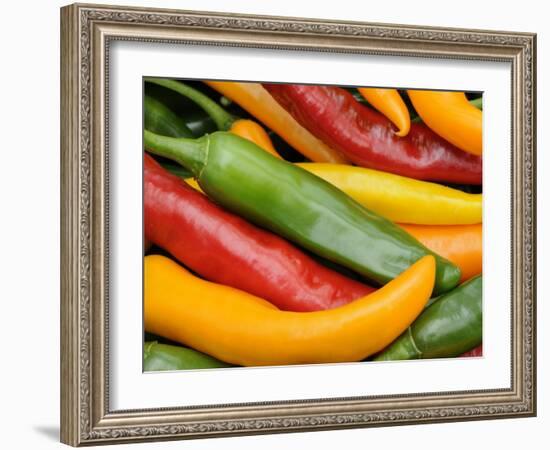 Freshly Picked Red, Green and Yellow Chillies Close Up Shot, UK-Gary Smith-Framed Photographic Print