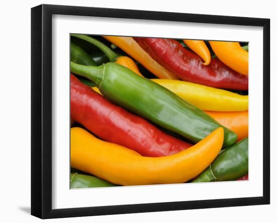 Freshly Picked Red, Green and Yellow Chillies Close Up Shot, UK-Gary Smith-Framed Photographic Print