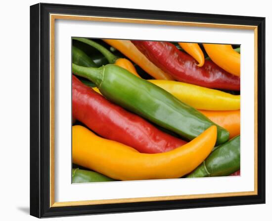 Freshly Picked Red, Green and Yellow Chillies Close Up Shot, UK-Gary Smith-Framed Photographic Print