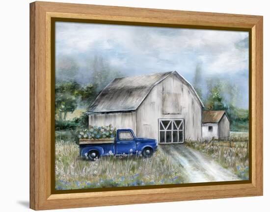 Freshly Picked-Marilyn Dunlap-Framed Stretched Canvas