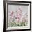 Freshly Pink-Tania Bello-Framed Giclee Print