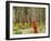 Freshly Stripped Cork Oaks, Catalunya (Catalonia), Spain, Europe-John Miller-Framed Photographic Print