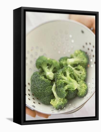Freshly Washed Broccoli Florets in Sieve-William Lingwood-Framed Premier Image Canvas