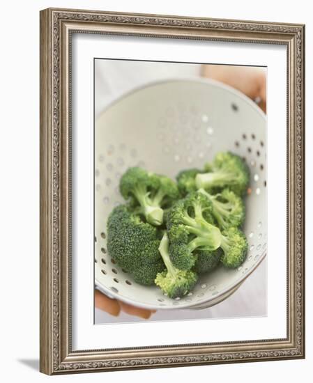 Freshly Washed Broccoli Florets in Sieve-William Lingwood-Framed Photographic Print