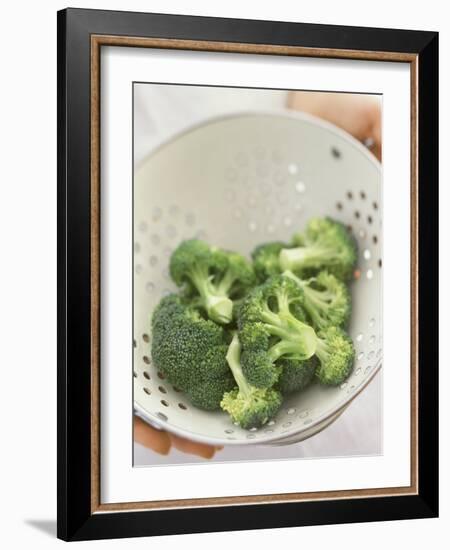 Freshly Washed Broccoli Florets in Sieve-William Lingwood-Framed Photographic Print