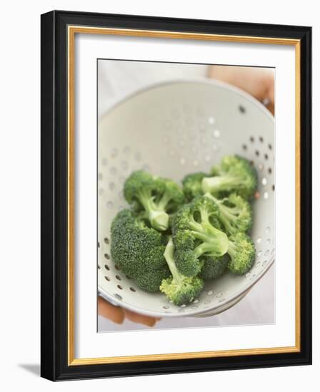 Freshly Washed Broccoli Florets in Sieve-William Lingwood-Framed Photographic Print