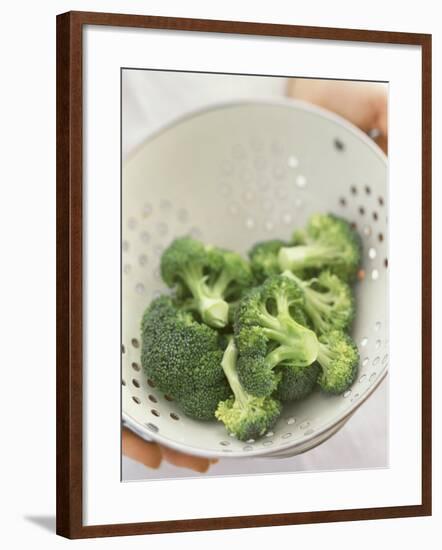 Freshly Washed Broccoli Florets in Sieve-William Lingwood-Framed Photographic Print