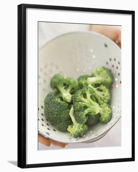 Freshly Washed Broccoli Florets in Sieve-William Lingwood-Framed Photographic Print