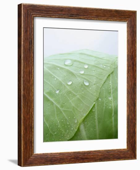 Freshly Washed White Cabbage-Axel Weiss-Framed Photographic Print