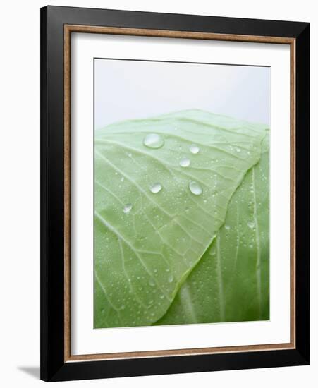 Freshly Washed White Cabbage-Axel Weiss-Framed Photographic Print