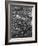 Freshman Orientation Meeting at Harvard-Alfred Eisenstaedt-Framed Photographic Print