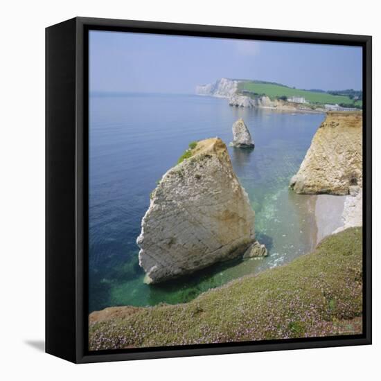 Freshwaster Bay, Isle of Wight, England, UK-Roy Rainford-Framed Premier Image Canvas