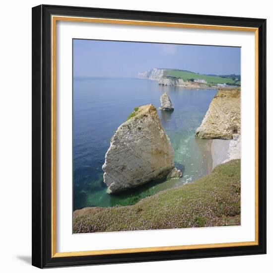 Freshwaster Bay, Isle of Wight, England, UK-Roy Rainford-Framed Photographic Print