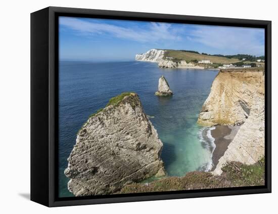 Freshwater Bay and Chalk Cliffs of Tennyson Down, Isle of Wight, England, United Kingdom, Europe-Roy Rainford-Framed Premier Image Canvas