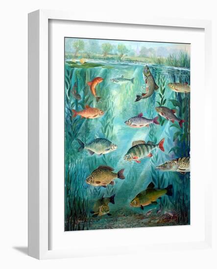 Freshwater Fish, 2010-Alex Williams-Framed Giclee Print