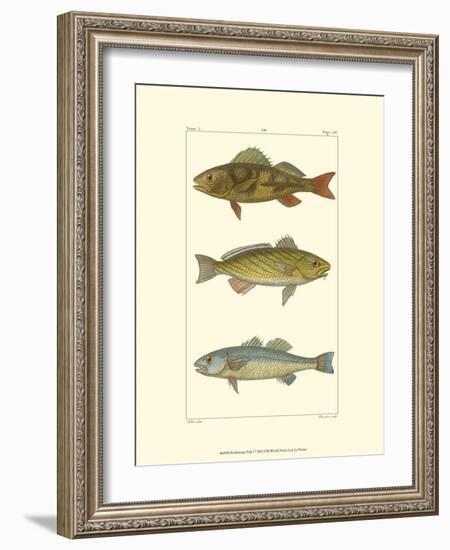 Freshwater Fish I-null-Framed Art Print