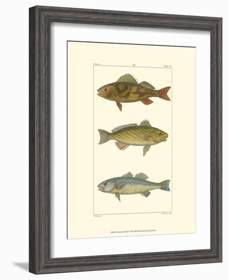 Freshwater Fish I-null-Framed Art Print